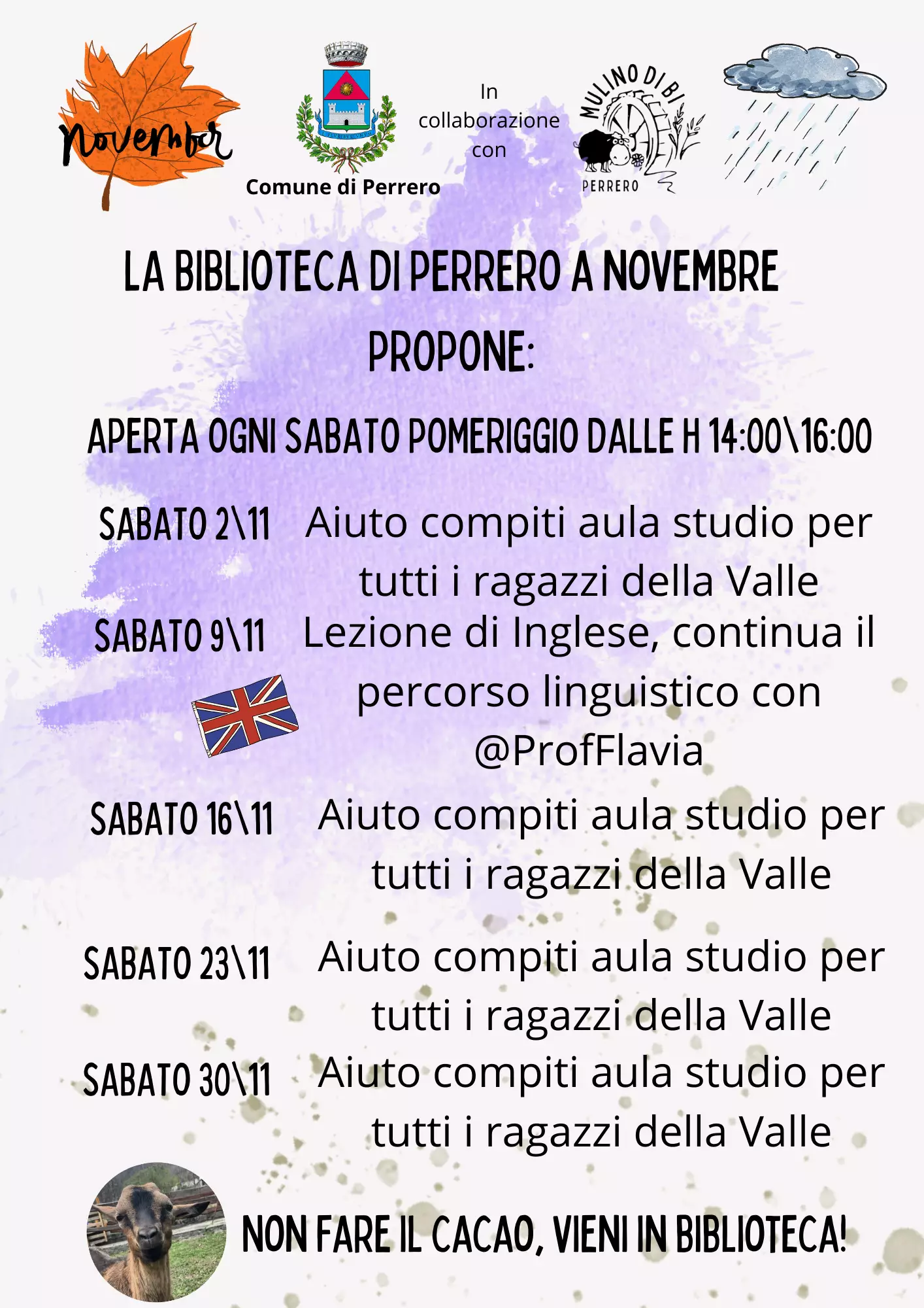 Programma biblioteca novembre 2024